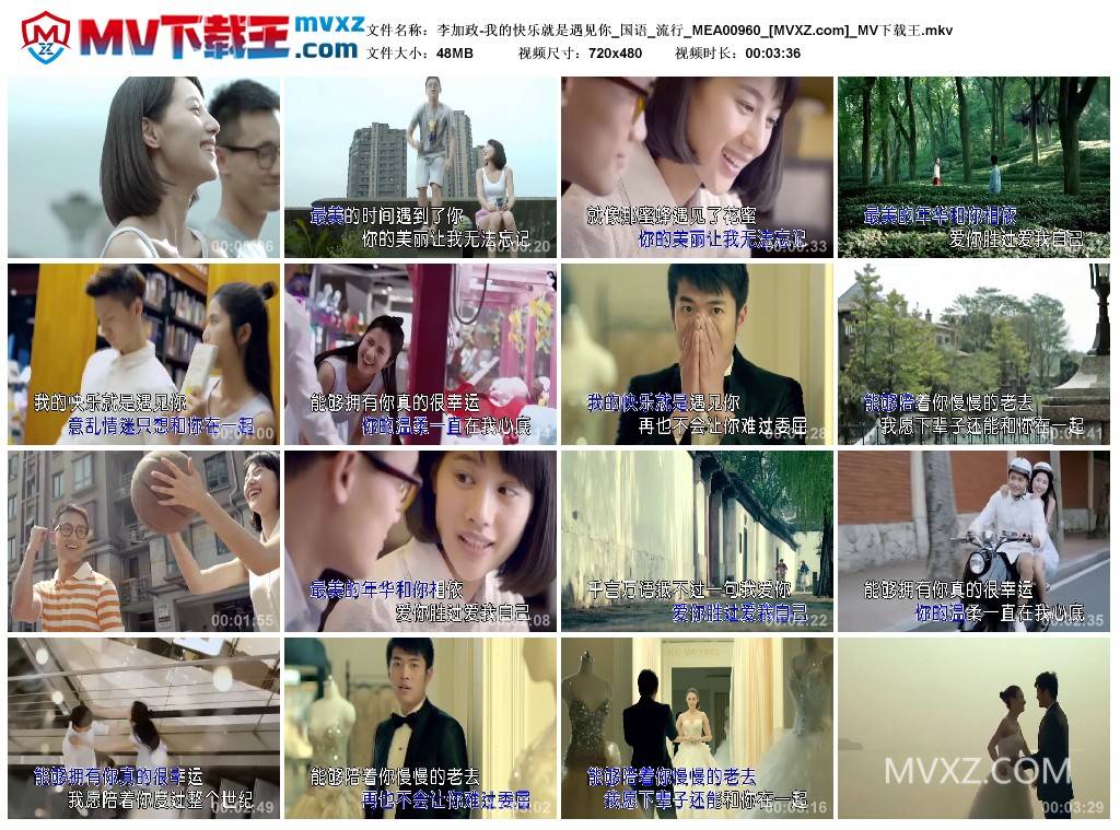 李加政-我的快乐就是遇见你_国语_流行_MEA00960